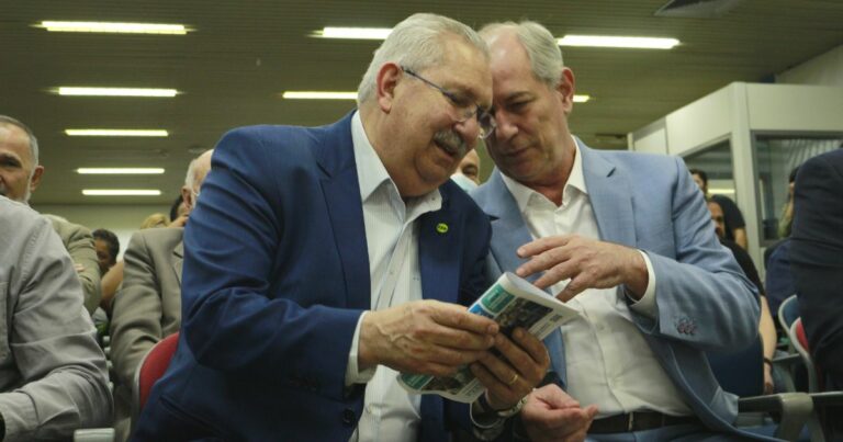 img-ciro-neto-parcerias-projetos-brasil-768x403 (1)