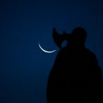 CarlosMonteiro_Aparecida_1-4