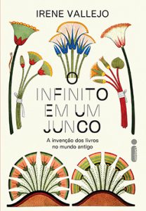 O-infinito-em-um-junco-G-208x300