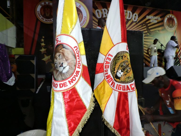 Leão de Nova Iguaçu (2)