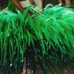 @RENANOLIVEIRAFOTOGRAFO-8