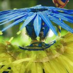 @RENANOLIVEIRAFOTOGRAFO-94