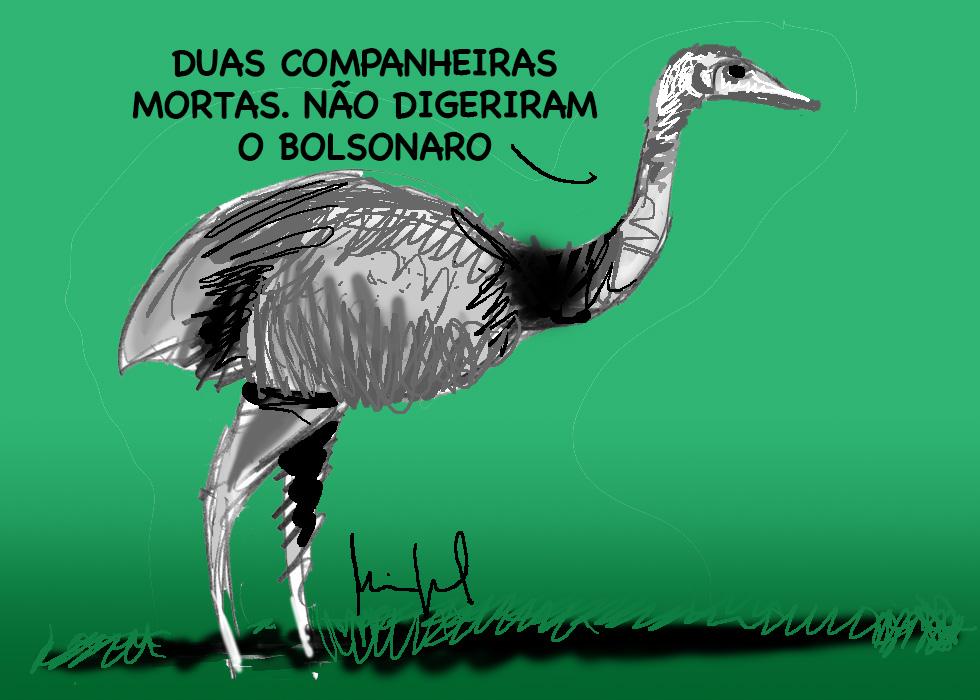 WhatsApp Image 2023-02-09 at 00.10.55