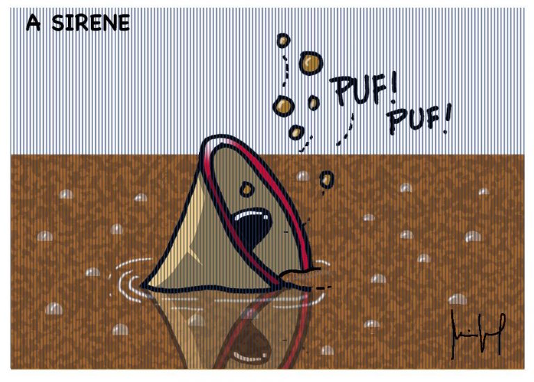 WhatsApp Image 2023-02-25 at 00.04.40