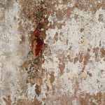 Dudu Garcia_ Tempo-Matéria_Anita Schwartz Galeria de Arte_RA 143_10_, 2023 Série RA 143 1,30 x 1,30m Materiais orgânicos e pigmentos naturais sobre canvas