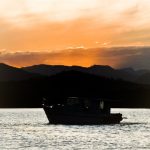 Foto_CarlosMonteiro_-9