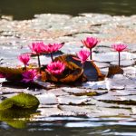 Foto_CarlosMonteiro_-5 - Copia