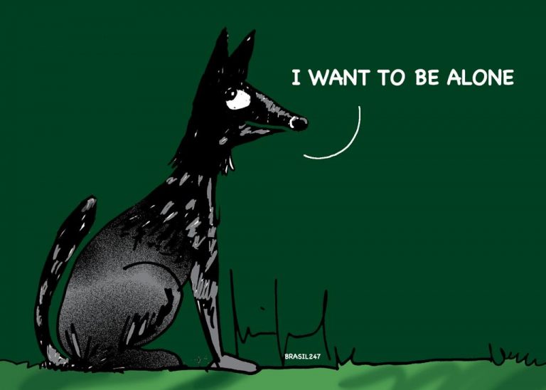 WhatsApp Image 2023-06-14 at 20.29.45