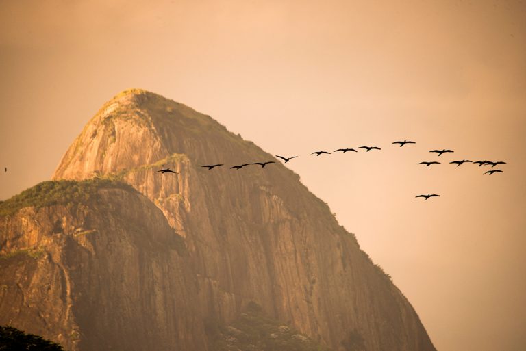 CarlosMonteiro_RiodeJaneiro_-2 (1)