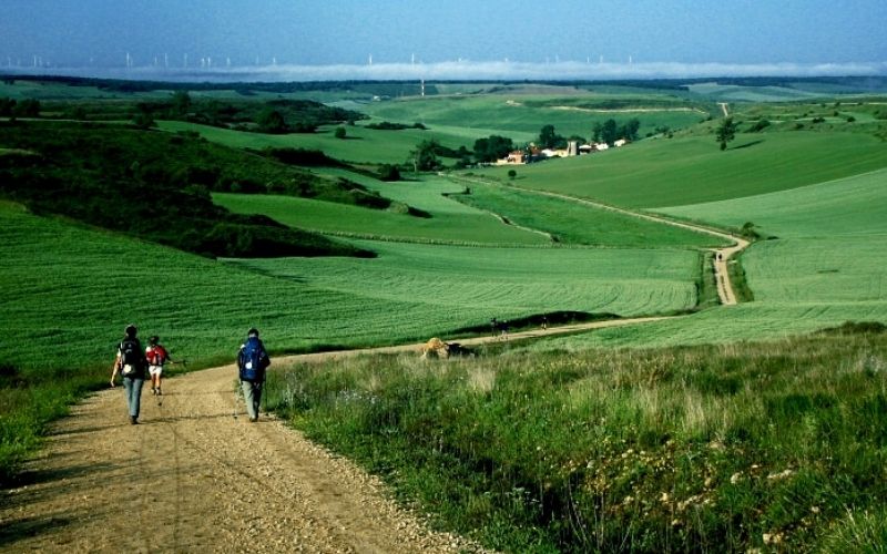 caminho-de-santiago