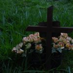 Texto e fotos  Carlos Monteiro