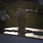 Texto e fotos  Carlos Monteiro