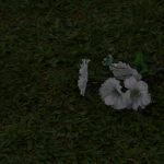 Texto e fotos  Carlos Monteiro