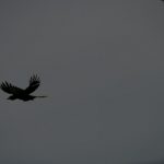 Texto e Fotos Carlos Monteiro