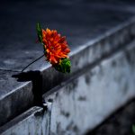 Texto e fotos  Carlos Monteiro