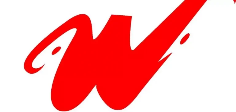 logo-werner