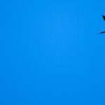 Texto e Foto Carlos Monteiro