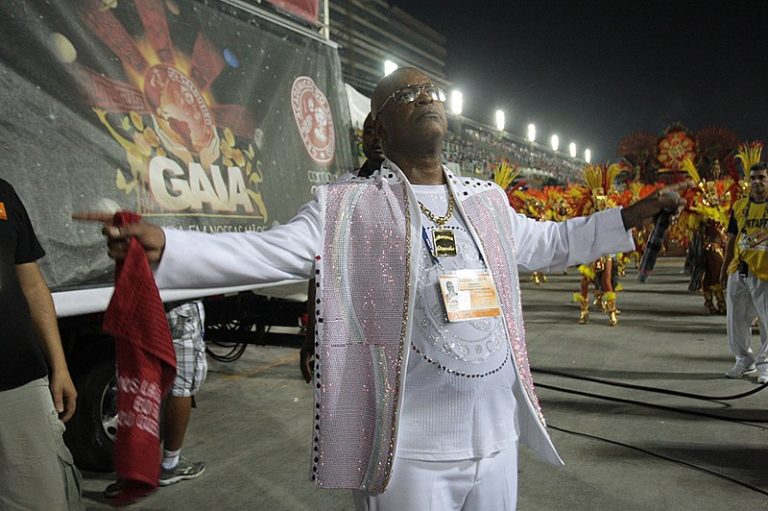 800px-Desfile_das_escolas_de_samba_do_Rio_de_Janeiro_de_2014