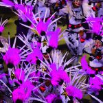 Texto e Fotos Carlos Monteiro