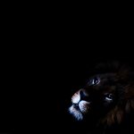 Texto e Fotos Carlos Monteiro