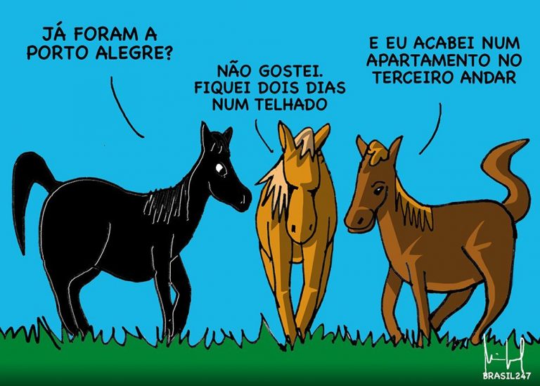 WhatsApp Image 2024-05-19 at 11.58.00