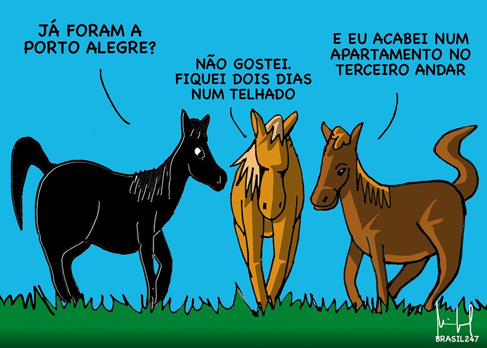 WhatsApp Image 2024-05-19 at 11.58.00