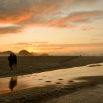 Texto e Fotos Carlos Monteiro