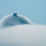 Texto e Fotos Carlos Monteiro