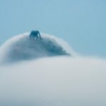 Texto e Fotos Carlos Monteiro