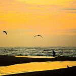 Texto e Fotos Carlos Monteiro