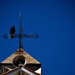 Texto e Fotos Carlos Monteiro