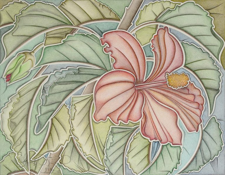 Hibisco - lapis de cor sobre papel