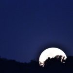 Texto e Fotos Carlos Monteiro