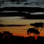 Texto e Foto Carlos Monteiro