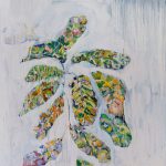 Mirela Cabral, Planta