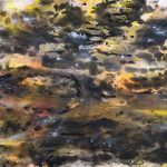 VERONICA CAMISAO - RIO NEGRO II