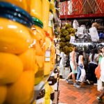 Carlos_Monteiro__1-225