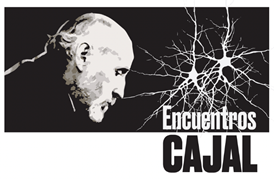 Brasil recebe o Primeiro Encontro Cajal no Instituto Estadual do Cérebro Paulo Niemeyer Aqui está o texto revisado com os nomes dos professores em negrito: Brasil recebe o Primeiro Encontro Cajal no Instituto Estadual do Cérebro Paulo Niemeyer No próximo dia 7 de novembro, o Instituto Estadual do Cérebro Paulo Niemeyer (IECPN), no Rio de Janeiro, sediará o primeiro Encontro Cajal no Brasil. O evento reunirá cientistas brasileiros e espanhóis para promover o intercâmbio de conhecimento em neurociências e fortalecer a colaboração entre os países. A abertura será conduzida pela Embaixadora da Espanha no Brasil, María del Mar Fernández-Palacios, e pelo diretor da IECPN, Prof. Paulo Niemeyer Filho. Representando o Brasil, participarão o Prof. Vivaldo Moura Neto, o Prof. Paulo Niemeyer Filho e a Profa. Dra. Flávia Carvalho Alcantara Gomes. Do lado espanhol, estão confirmados a Profa. Amanda Sierra, o Prof. Dr. Juan Manuel Sepúlveda e o Prof. José Luis Lerma. Autoridades como a Secretária de Saúde do Estado do Rio, Claudia Maria Braga de Mello, e a presidente da ACEBRA, Verónica Aran, também estarão presentes. Os Encuentros Cajal, projeto itinerante de neurociências promovido pelo governo espanhol em parceria com a Fundação Cajal, abordam temas como neurodireitos e inteligência artificial. Com ações em vários países, a iniciativa busca expandir o debate científico-divulgativo e reforçar a diplomacia científica entre Espanha e Brasil. Nos últimos anos, Brasil e Espanha têm intensificado suas parcerias científicas, com um total de quase 30.000 publicações conjuntas entre 2013 e 2022 e a assinatura de novos acordos. A expectativa é que o Encontro Cajal contribua para fortalecer ainda mais essa cooperação e inspire futuras edições.