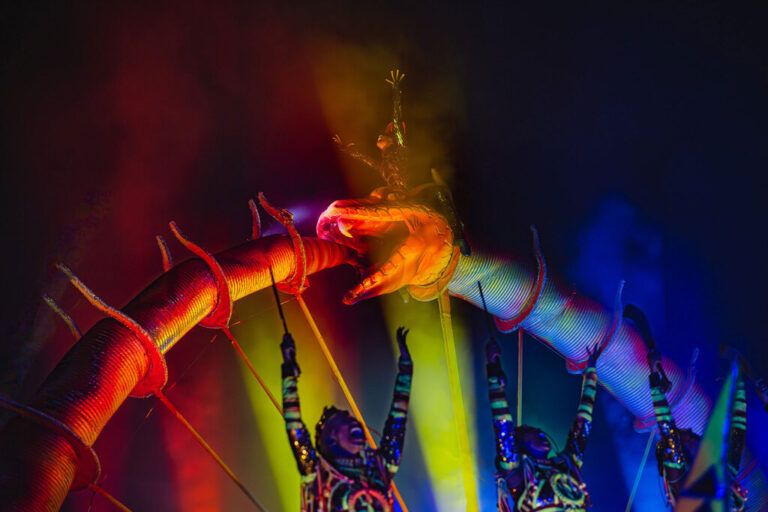 Exposição no MAC celebra campeonato da Viradouro