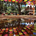 Foto Carlos Monteiro.