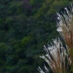 Texto e Fotos Carlos Monteiro