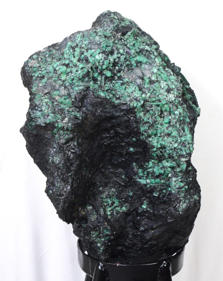 WhatsApp Image 2025-02-04 at 18.50.00