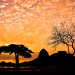 Foto Carlos Monteiro.