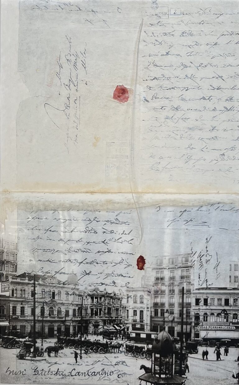 Tao Transparente 2_acrílica sobre seda e escritos_Susi_2024