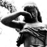 Texto e Foto Carlos Monteiro