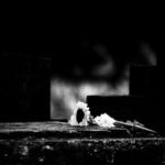 Texto e Foto Carlos Monteiro