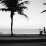 Texto e Foto Carlos Monteiro