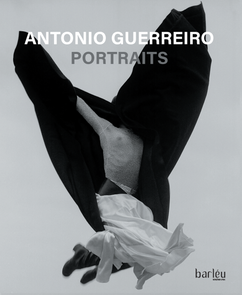 CAPA _AGuerreiro_Portrait (Pequeno)
