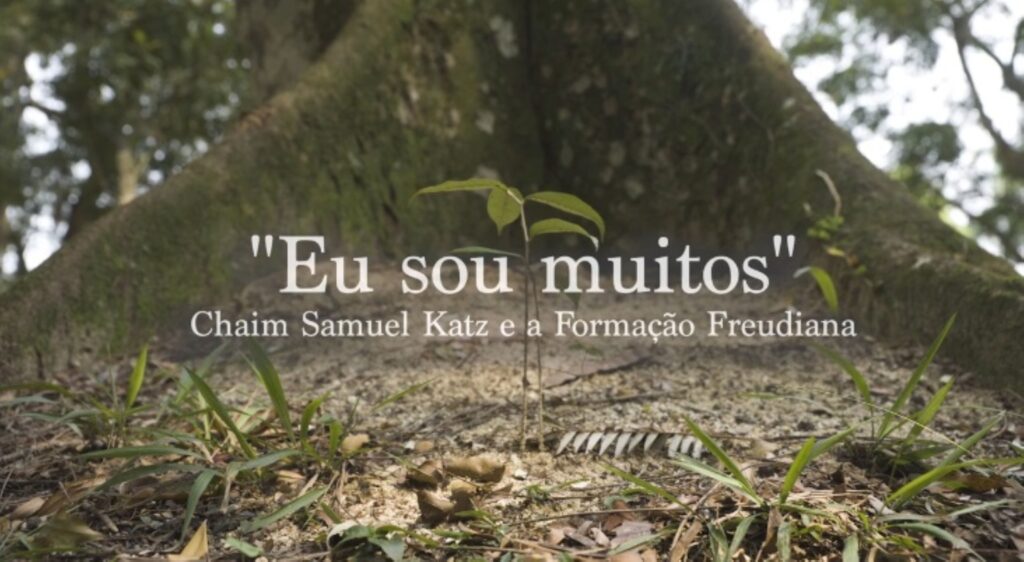 Capa Documentario