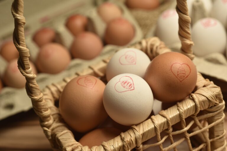 Granja Mantiqueira - Foto Bruno de Lima 228